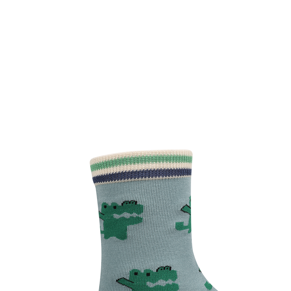 Cute and vivid dinosaur series boy's socks